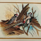 Handmade Bird Painting on Silk Fabric for Home and Office Decor
