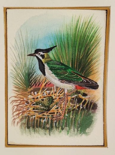 Handmade Bird Painting on Silk Fabric for Home and Office Decor