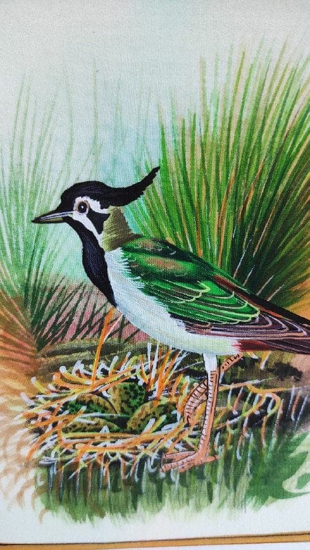 Handmade Bird Painting on Silk Fabric for Home and Office Decor
