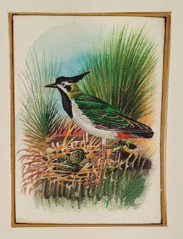 Handmade Bird Painting on Silk Fabric for Home and Office Decor
