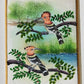 Handmade Birds Painting on Silk Fabric for Home and Office Decor