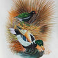 Handmade Birds Painting on Silk Fabric for Home and Office Decor