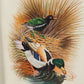 Handmade Birds Painting on Silk Fabric for Home and Office Decor