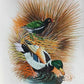 Handmade Birds Painting on Silk Fabric for Home and Office Decor