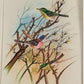 Handmade Birds Painting on Silk Fabric for Home and Office Decor