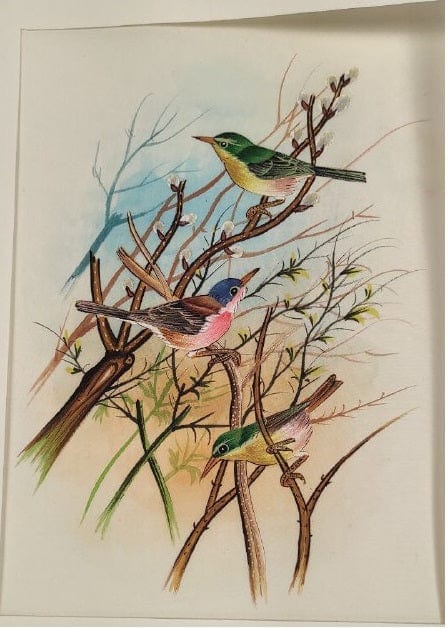 Handmade Birds Painting on Silk Fabric for Home and Office Decor