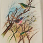 Handmade Birds Painting on Silk Fabric for Home and Office Decor