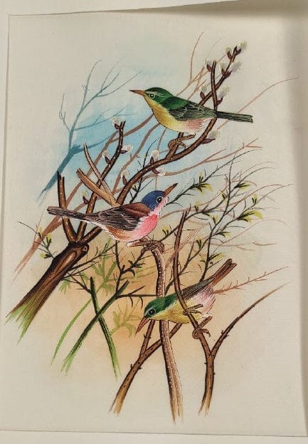 Handmade Birds Painting on Silk Fabric for Home and Office Decor