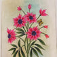 Handmade Flowers Painting on Silk Fabric for Home and Office Decor