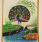 Handmade Peacock Painting on Silk Fabric for Home and Office Decor